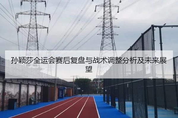 孙颖莎全运会赛后复盘与战术调整分析及未来展望